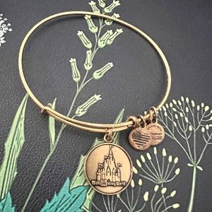 Walt Disney World Magic Kingdom Alex and Ani Bangle